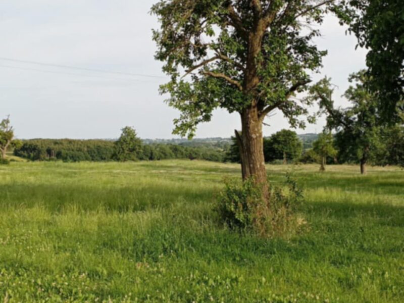 TERRAIN AGRICOLE