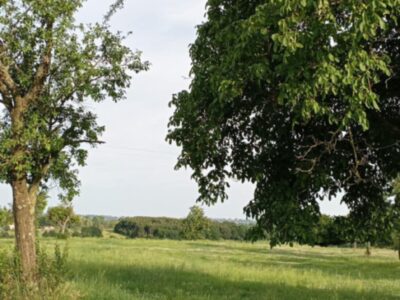 TERRAIN AGRICOLE