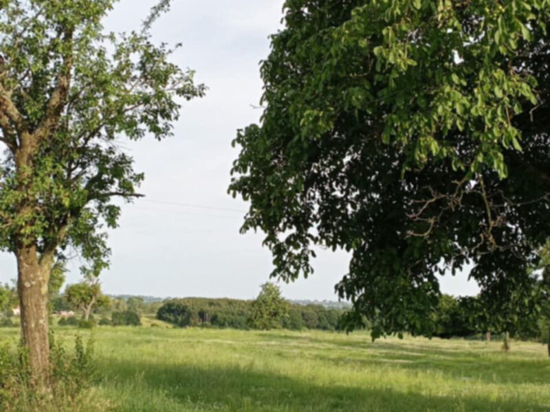 TERRAIN AGRICOLE